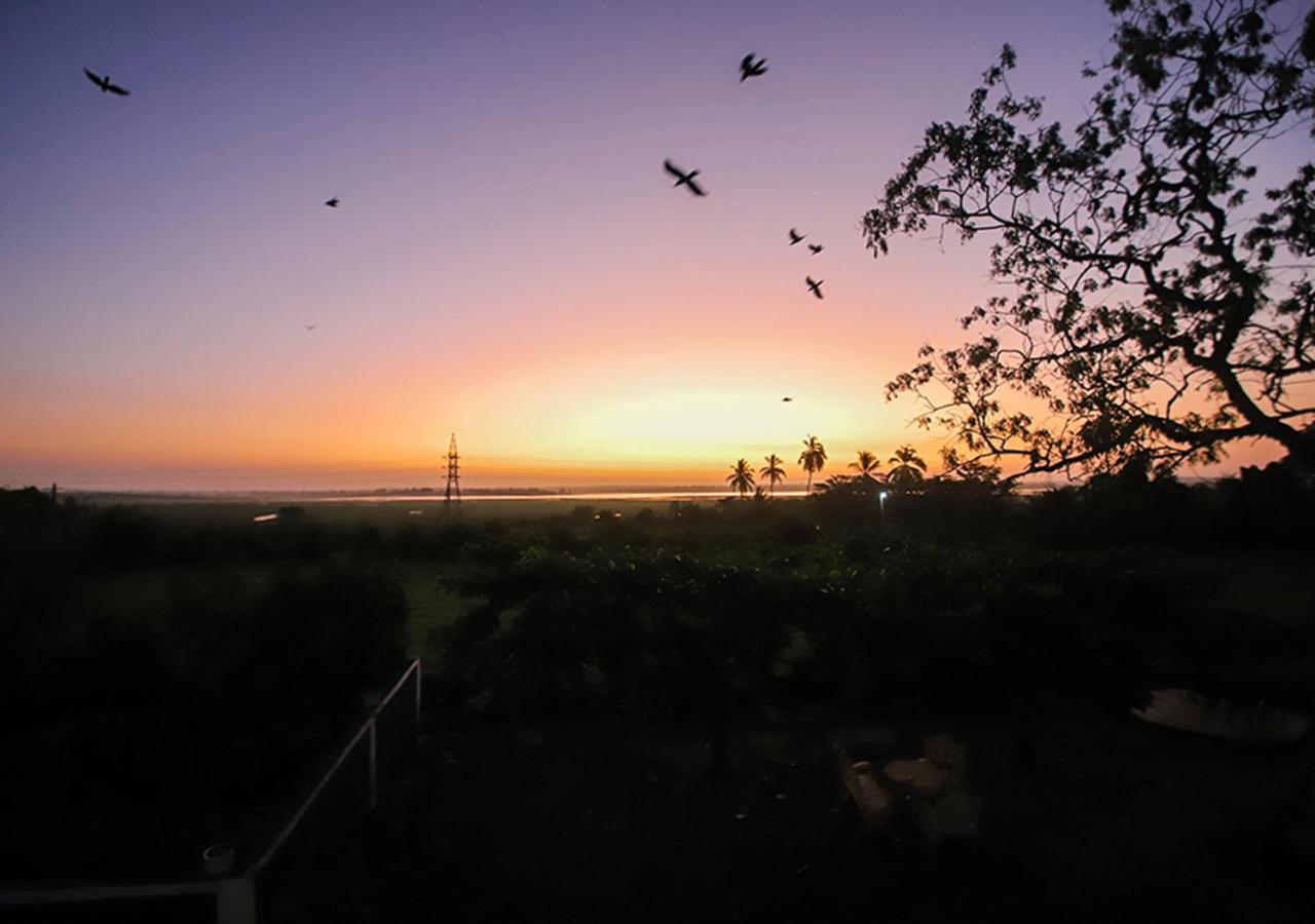 Birdsong Leisure Resort ティッサマハーラーマ エクステリア 写真